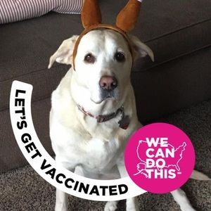 Meet your Posher, Anne